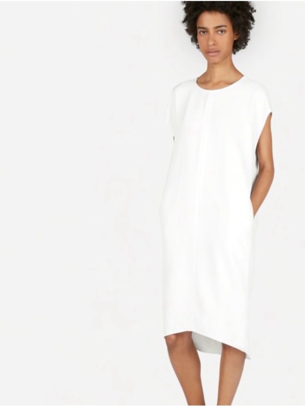 Everlane Japanese GoWeave Cocoon dress